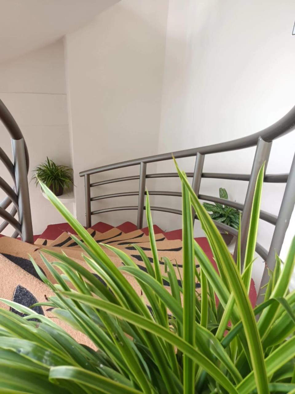 Marysol Las Palmas Rincon de Guayabitos Εξωτερικό φωτογραφία